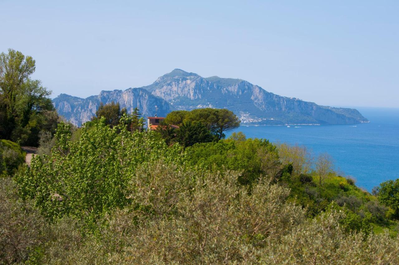 Villa Venus In Penisola Sorrentina Massa Lubrense Exteriér fotografie