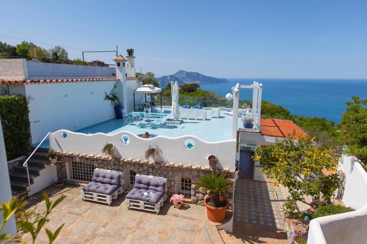 Villa Venus In Penisola Sorrentina Massa Lubrense Exteriér fotografie
