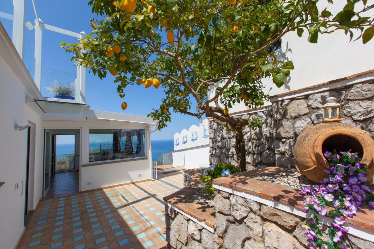 Villa Venus In Penisola Sorrentina Massa Lubrense Exteriér fotografie