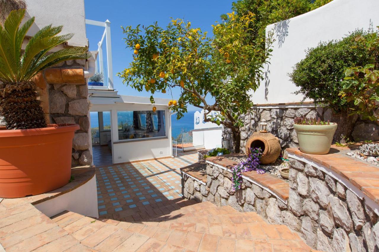 Villa Venus In Penisola Sorrentina Massa Lubrense Exteriér fotografie