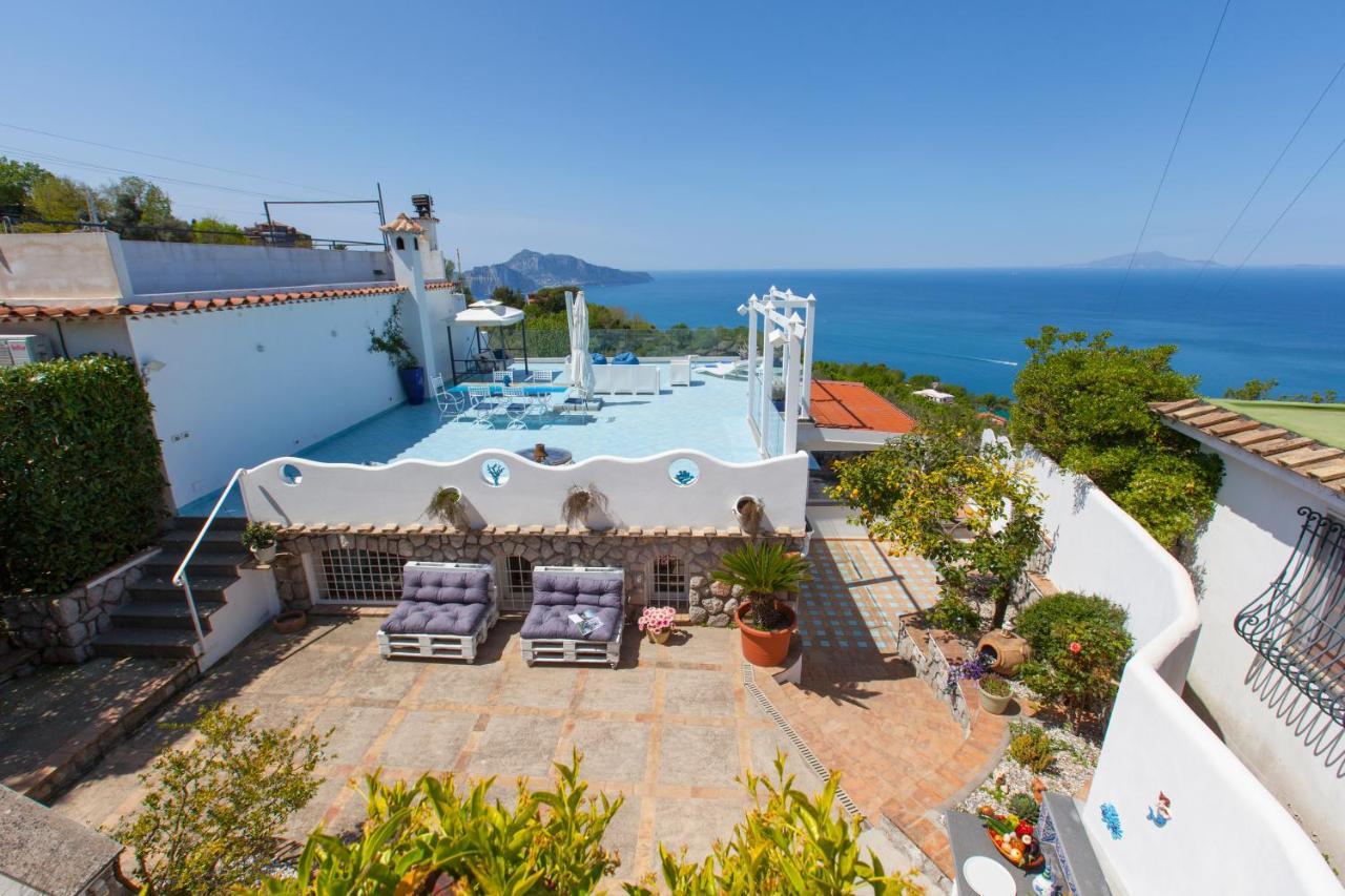 Villa Venus In Penisola Sorrentina Massa Lubrense Exteriér fotografie