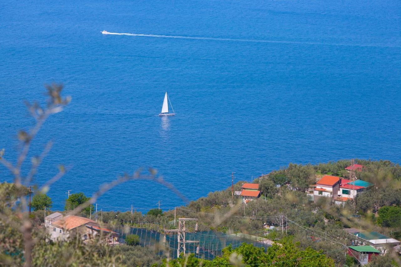 Villa Venus In Penisola Sorrentina Massa Lubrense Exteriér fotografie