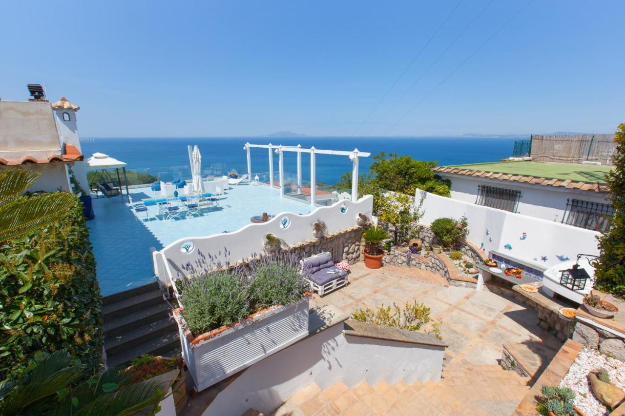 Villa Venus In Penisola Sorrentina Massa Lubrense Exteriér fotografie